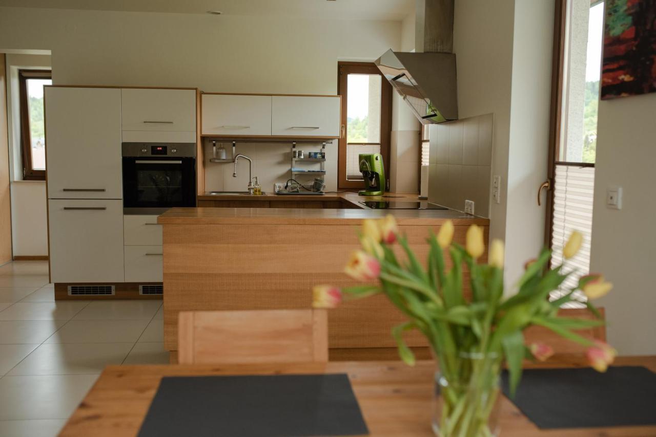 Apartament Sloneczna Rapsodia - Blisko Parku Zdrojowego - Piekny Widok - Ogrod - Taras Rabka-Zdrój Esterno foto